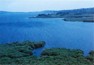 Lake Kwania